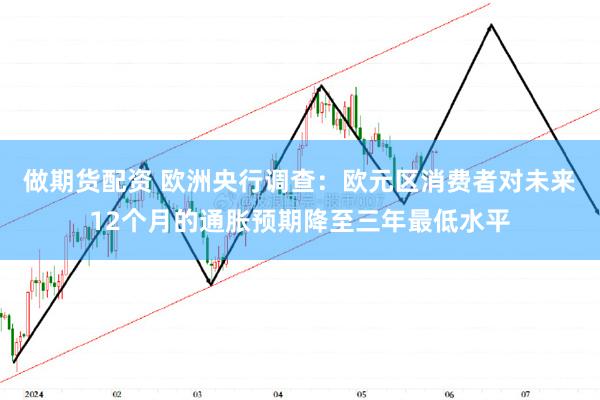 做期货配资 欧洲央行调查：欧元区消费者对未来12个月的通胀预期降至三年最低水平