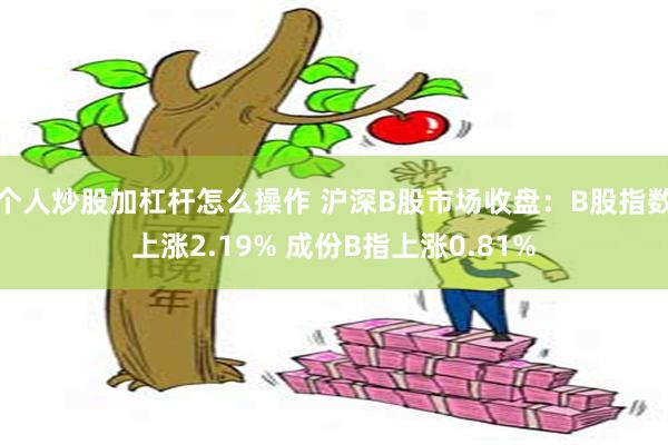 个人炒股加杠杆怎么操作 沪深B股市场收盘：B股指数上涨2.19% 成份B指上涨0.81%