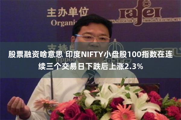 股票融资啥意思 印度NIFTY小盘股100指数在连续三个交易日下跌后上涨2.3%