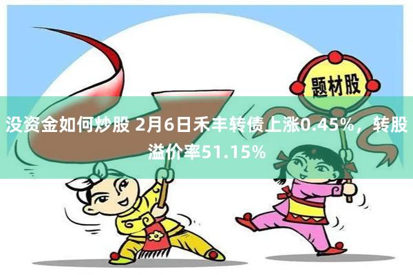 没资金如何炒股 2月6日禾丰转债上涨0.45%，转股溢价率51.15%